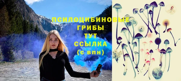 бошки Алзамай