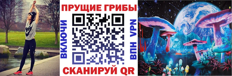 ссылка на мегу tor  купить наркотик  Златоуст  Галлюциногенные грибы Psilocybe 